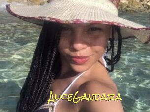 AliceGandara