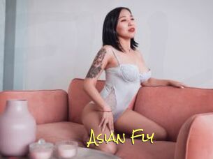 Asian_Fly