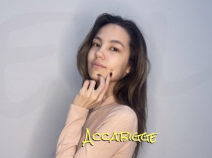 Accabigge