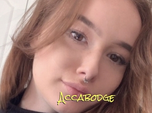 Accabodge