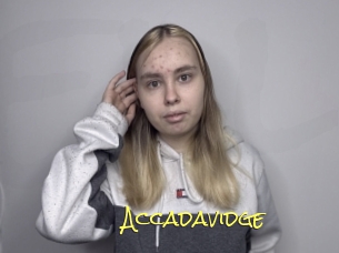 Accadavidge