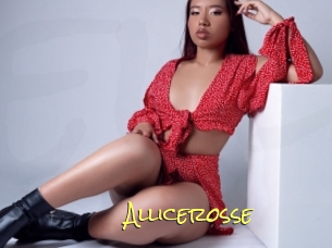 Allicerosse