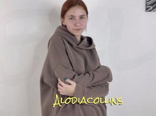 Alodiacollins