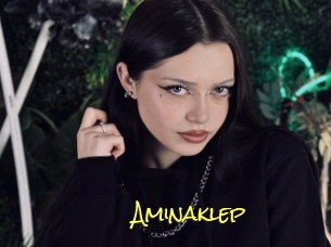 Aminaklep