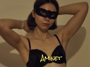Aminet