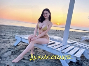 Anisiacorner