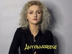 Antoniabeese