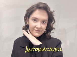 Antoniacavell