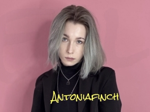 Antoniafinch