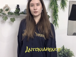 Antoniahence