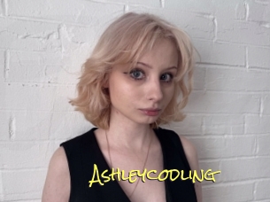 Ashleycodling