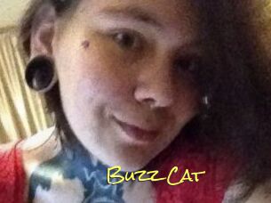 Buzz_Cat