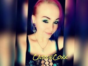 CarlieCoxx