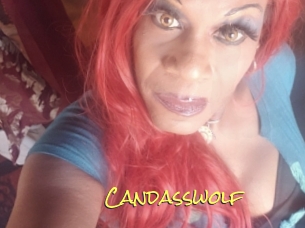 Candasswolf