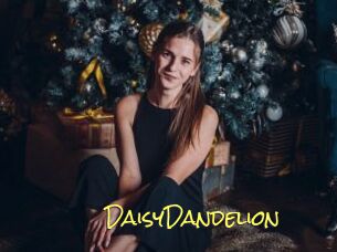 DaisyDandelion