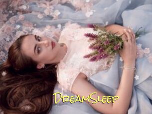 DreamSleep