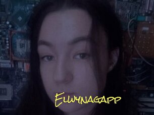 Elwynagapp