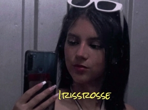 Irissrosse