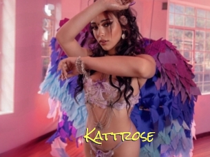 Kattrose