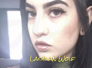 Lachlan_Wolf