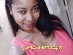 Laylahmorgane