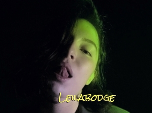 Leilabodge