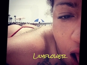 Lilyflower