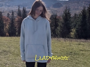 Lladybugg