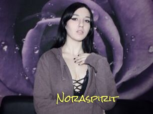 Noraspirit