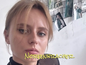 Noreenbracher