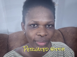 Pervated_bitch