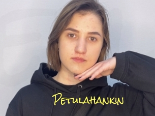 Petulahankin