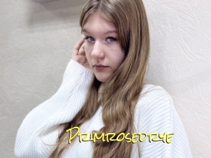 Primrosedrye