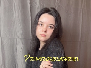 Primrosegabriel