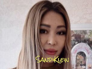 SandiKlein