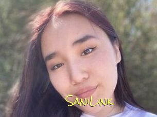 SaniLink