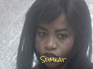 Slimkat