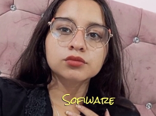 Sofiware