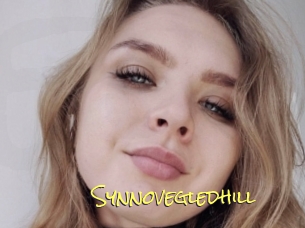 Synnovegledhill