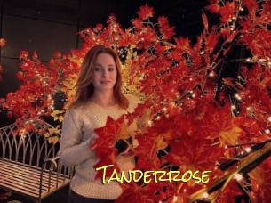 Tanderrose