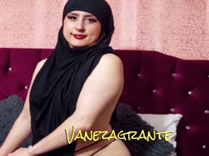 Vanezagrante