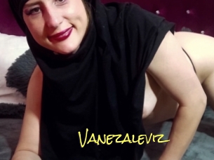 Vanezaleviz