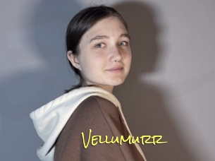 Vellumurr