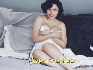 Venusformars