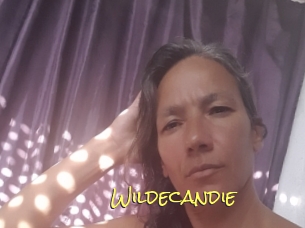 Wildecandie