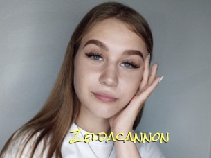 Zeldacannon